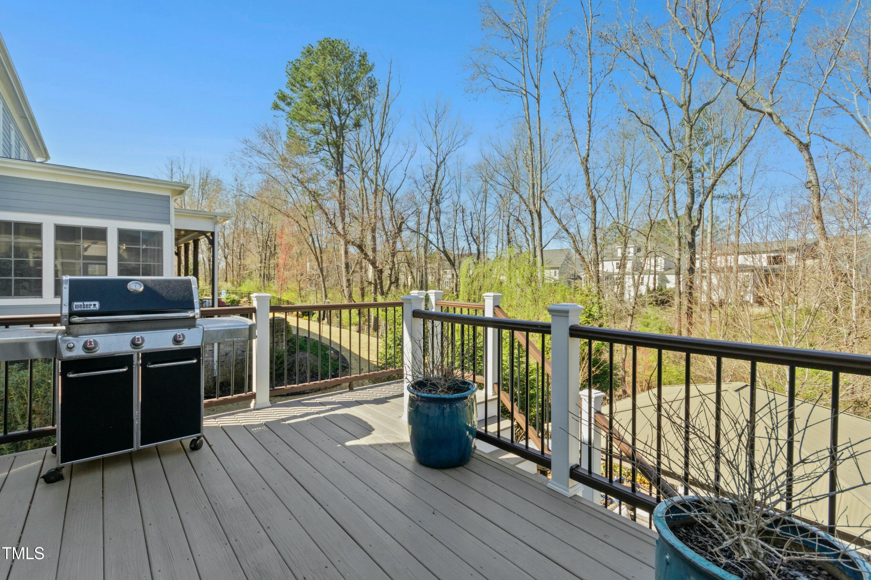 2046 Fellini Drive Apex, NC 27502 - Photo 44 of 94 tempImageMpPKQS