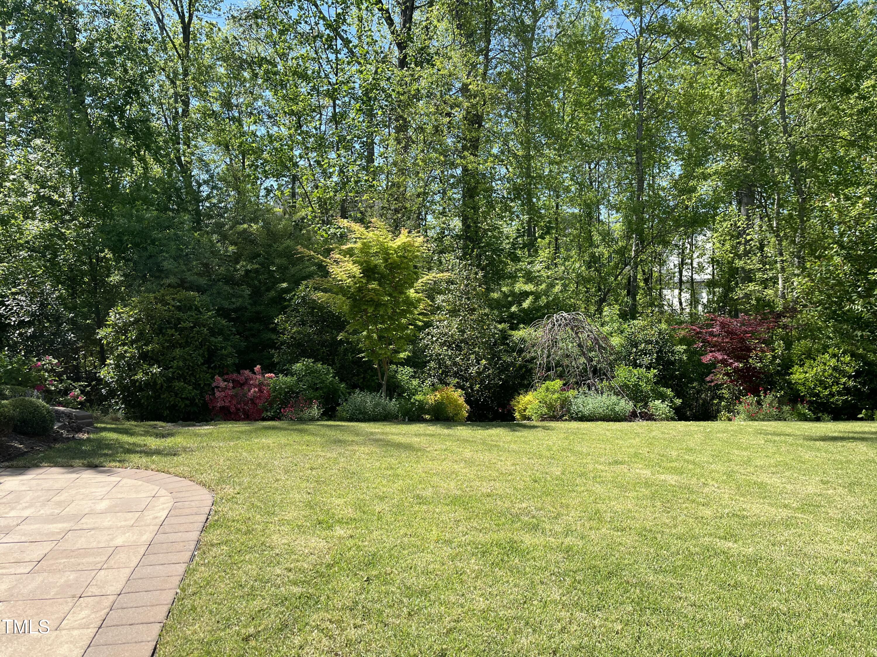 2046 Fellini Drive Apex, NC 27502 - Photo 81 of 94 tempImageQcTHhC