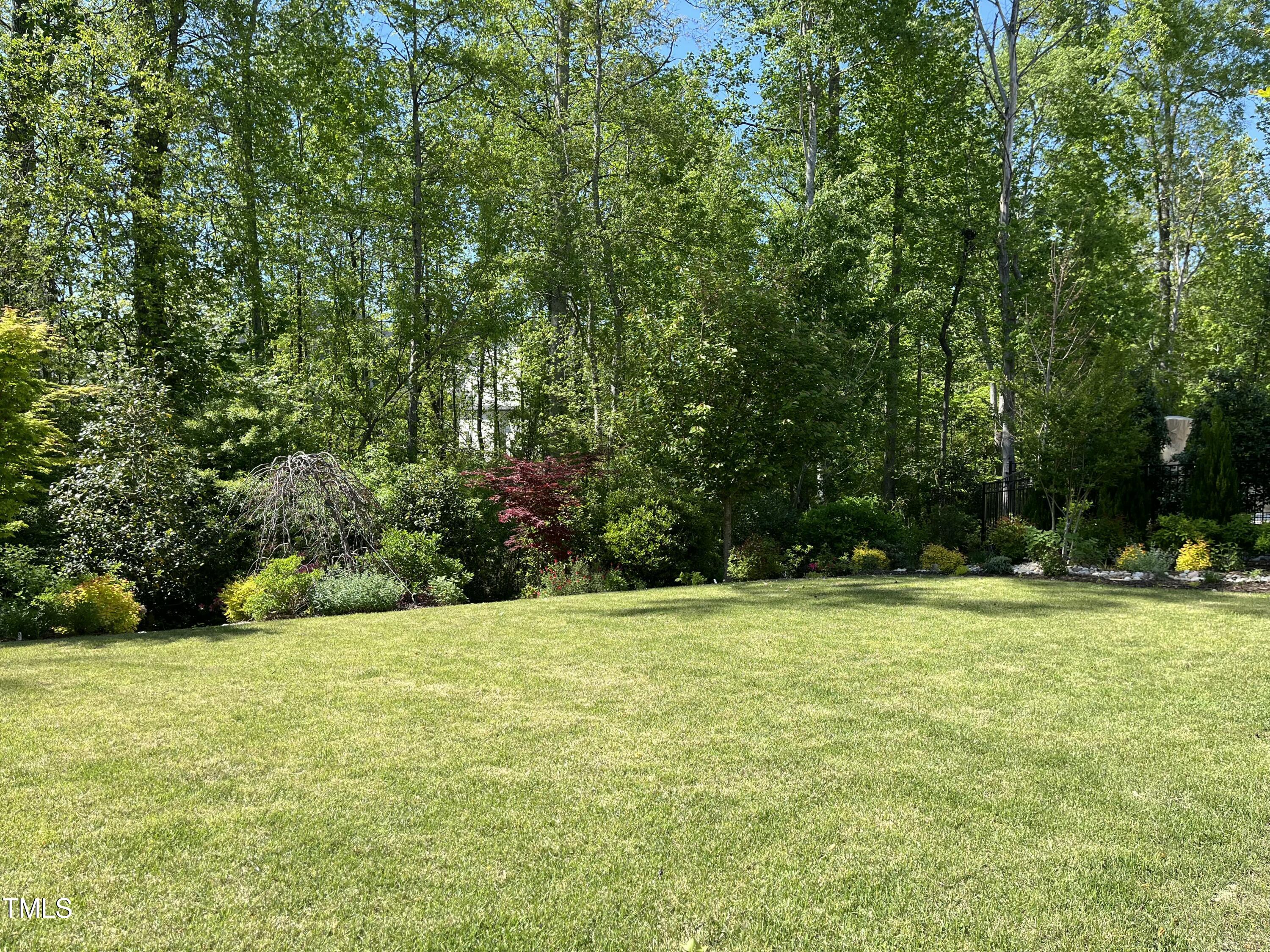 2046 Fellini Drive Apex, NC 27502 - Photo 7 of 94 tempImagee2QBqs