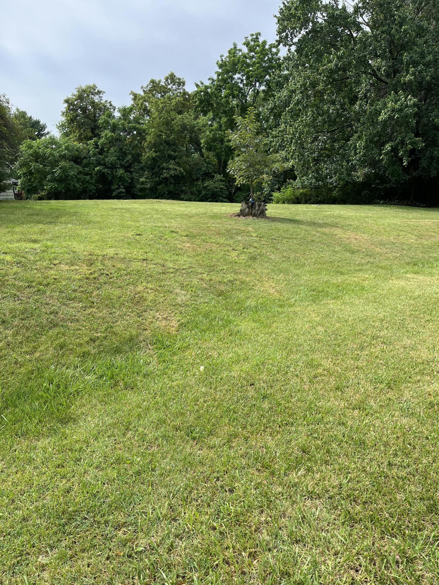 2135 Feather Road Vinton, VA 24179 - Photo 3 of 8 IMG_0053