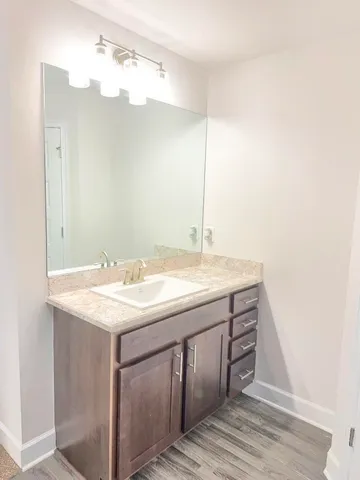 a bathroom with a sink and a mirror