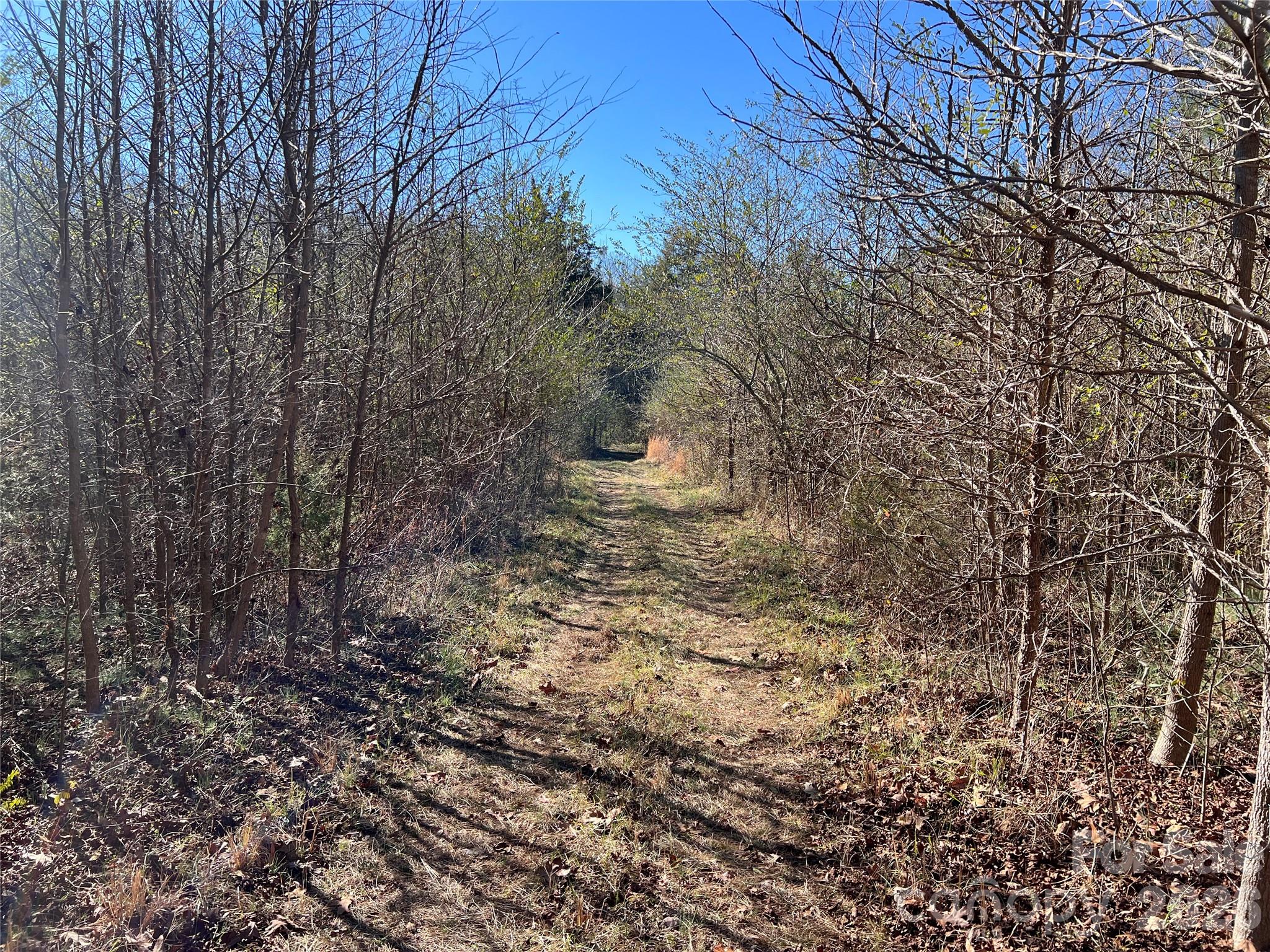 996 Split Trail Clover, SC 29710 - Photo 34 of 45 Gallery Image 34