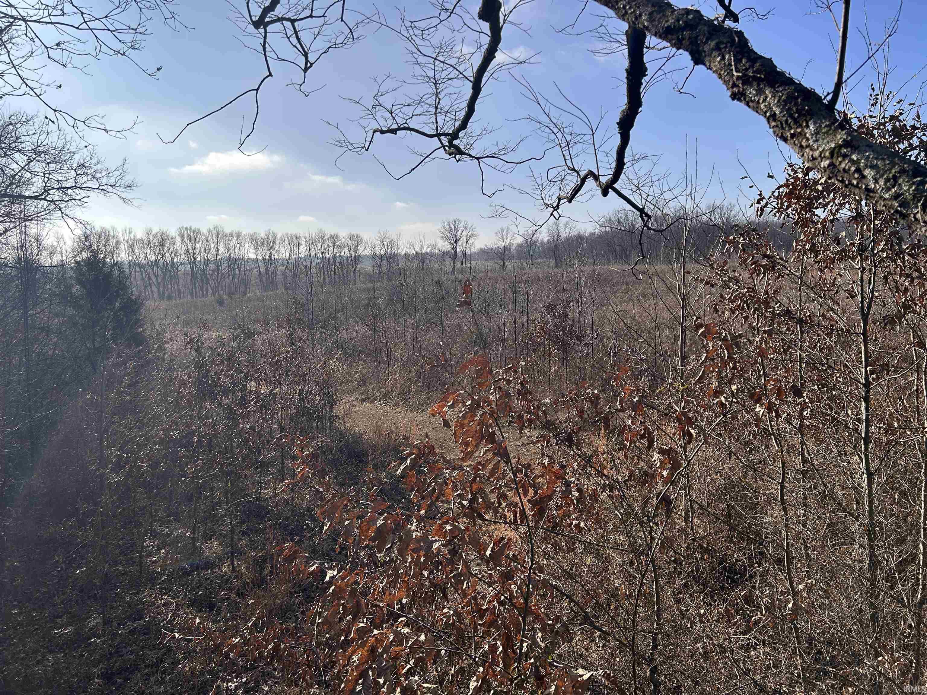 1675 Rabbitsville Road Mitchell, IN 47446 - Photo 4 of 12