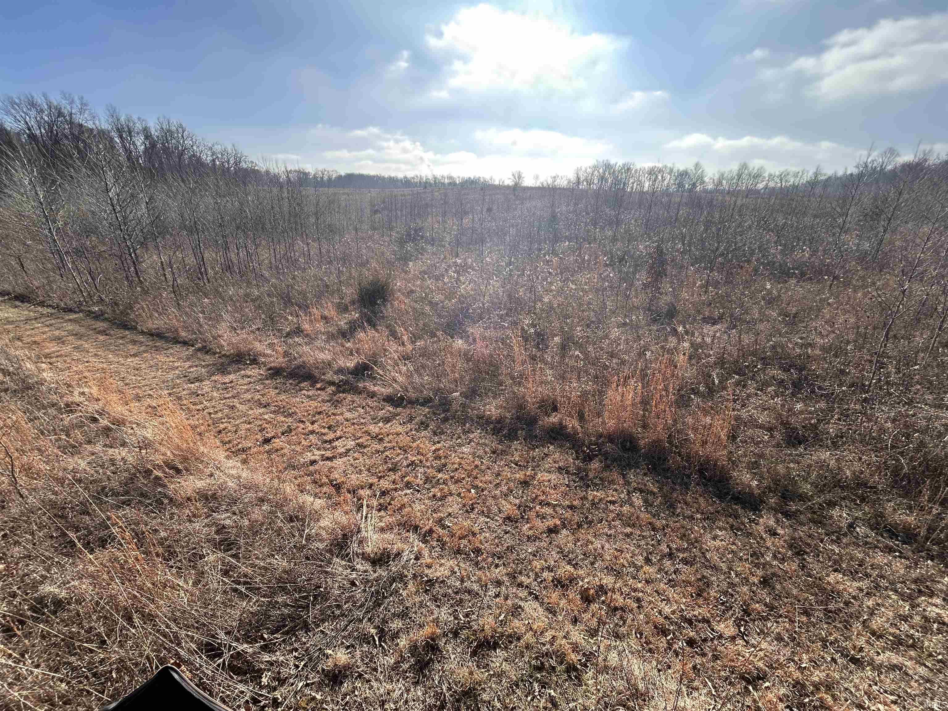 1675 Rabbitsville Road Mitchell, IN 47446 - Photo 5 of 12