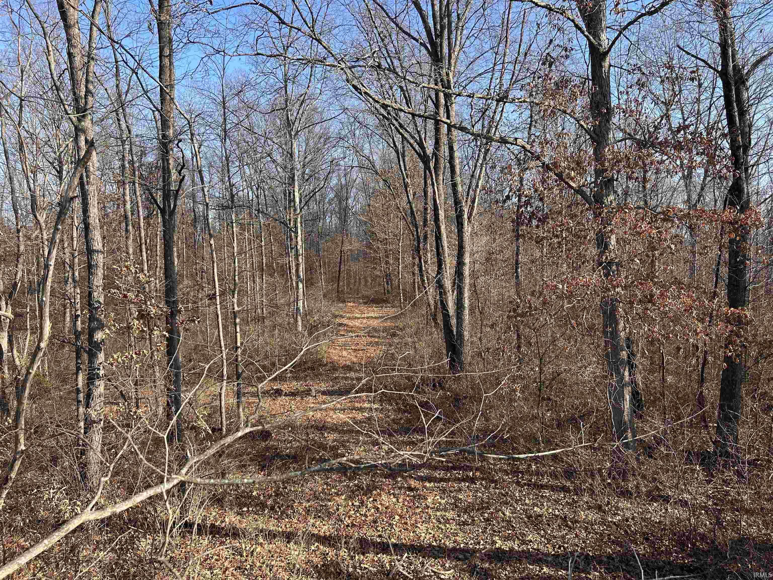 1675 Rabbitsville Road Mitchell, IN 47446 - Photo 6 of 12