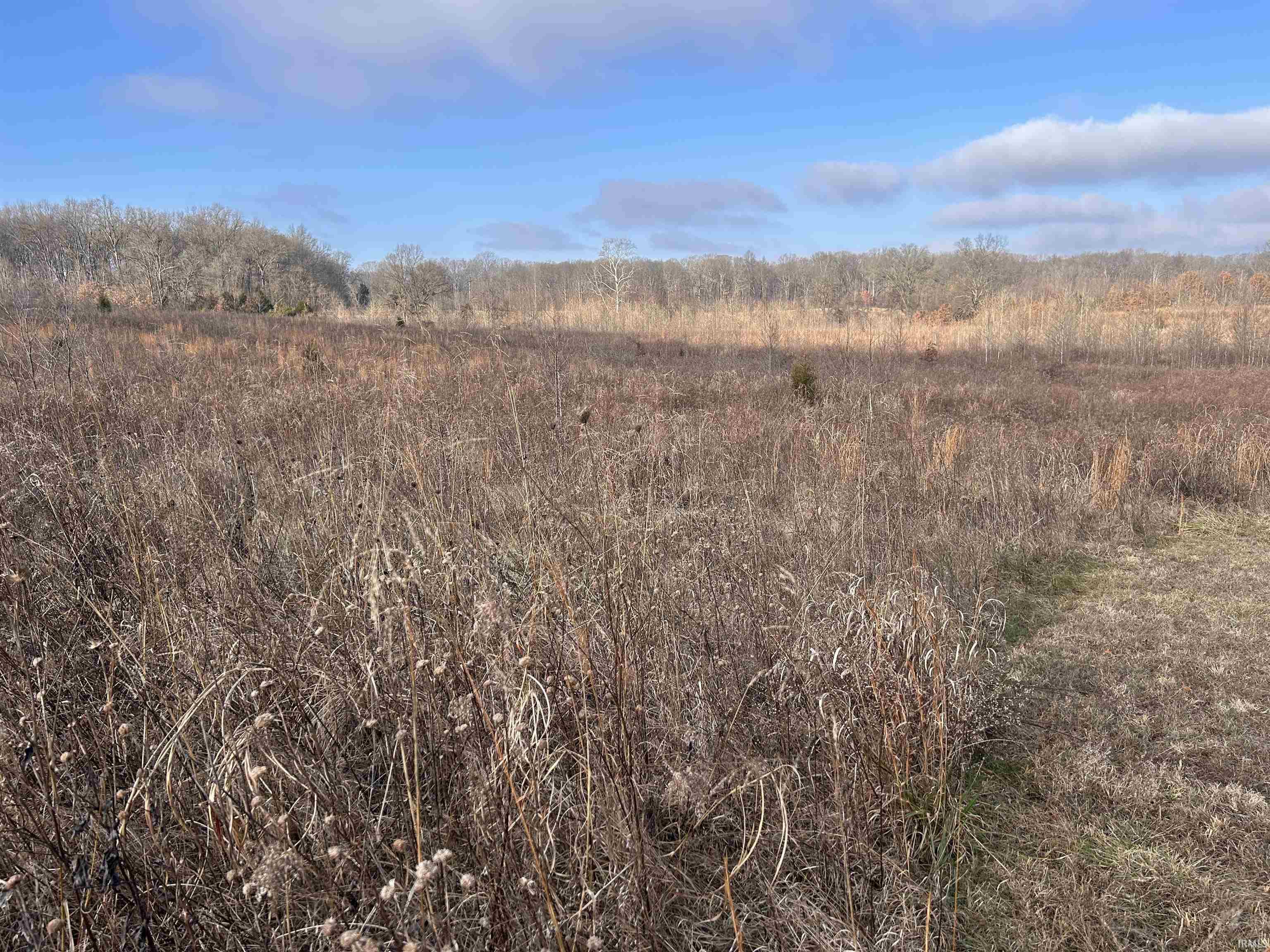 1675 Rabbitsville Road Mitchell, IN 47446 - Photo 10 of 12