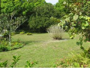 2050 Knotty Pine Road Melbourne, FL 32904 - Photo 9 of 12 Additional Photo