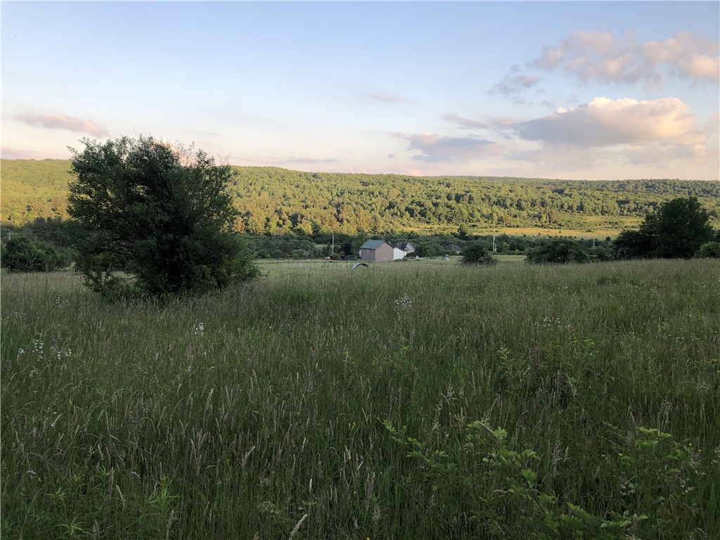 8781 Old State Road Allen, NY 14709 - Photo 42 of 45 Gallery Image 42