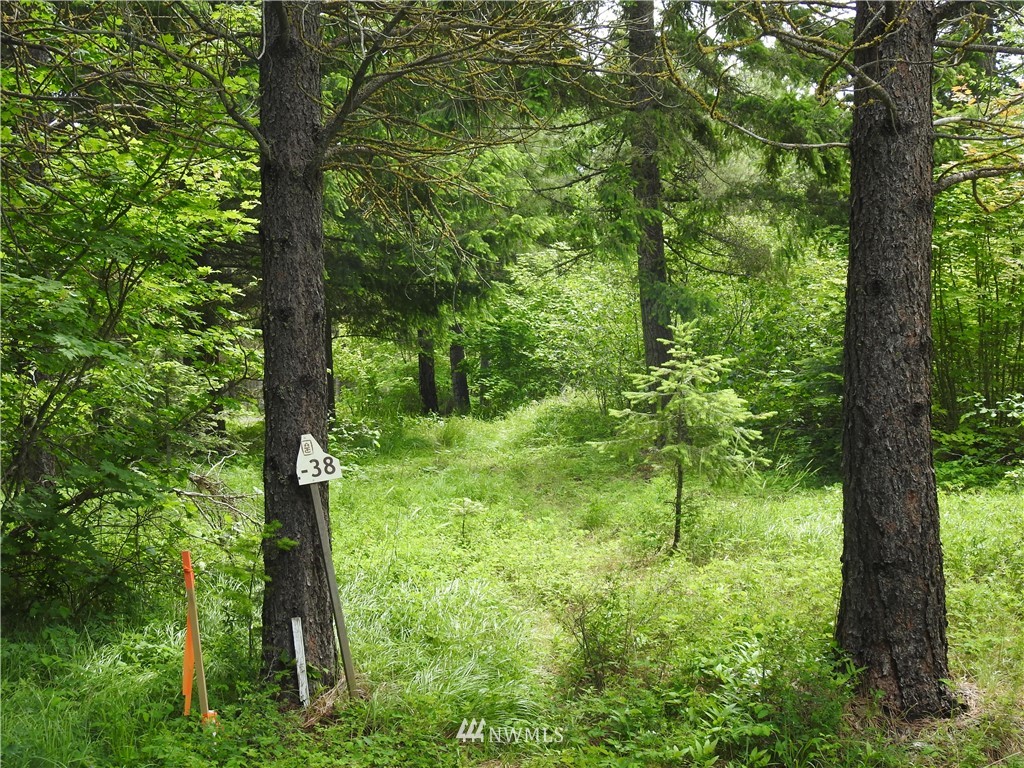 711 Ruby King Loop Cle Elum, WA 98922 - Photo 3 of 5