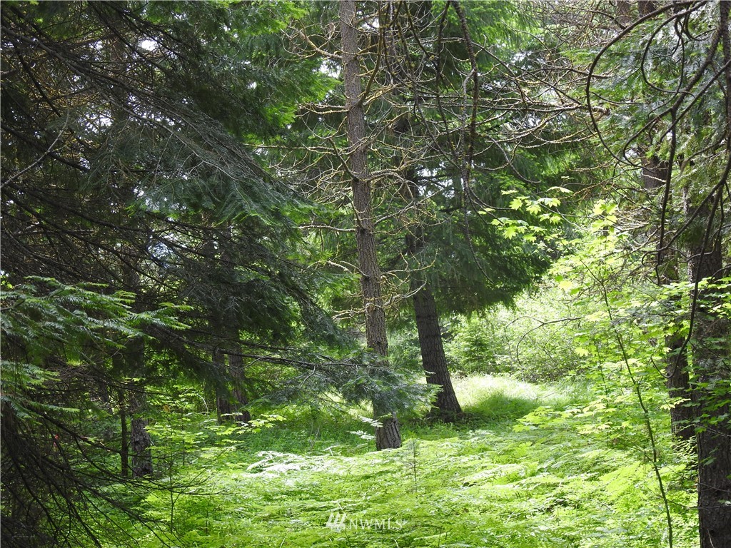 711 Ruby King Loop Cle Elum, WA 98922 - Photo 5 of 5