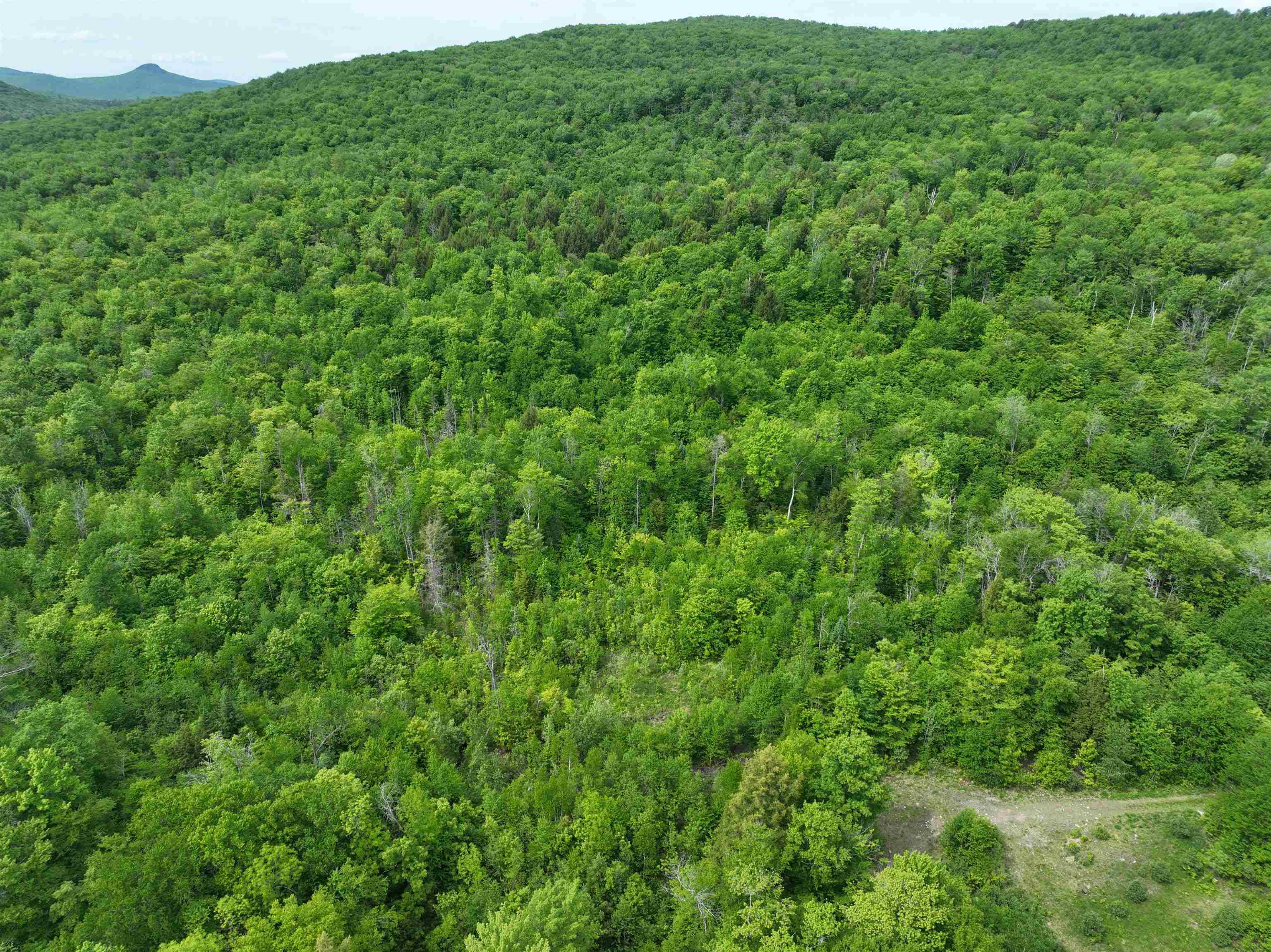 0 South County Road Groton, VT 05046 - Photo 3 of 11