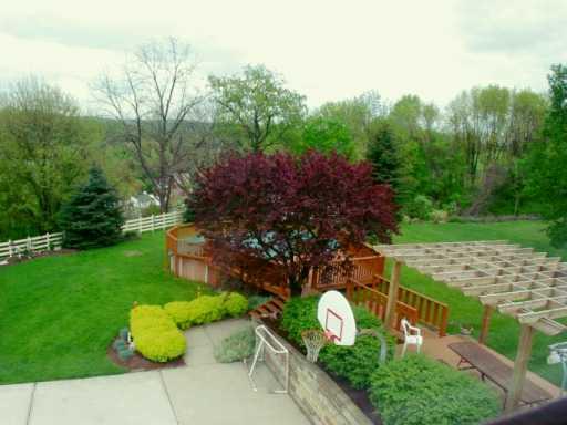 1742 Bower Hill Road Pittsburgh, PA 15243 - Photo 5 of 7