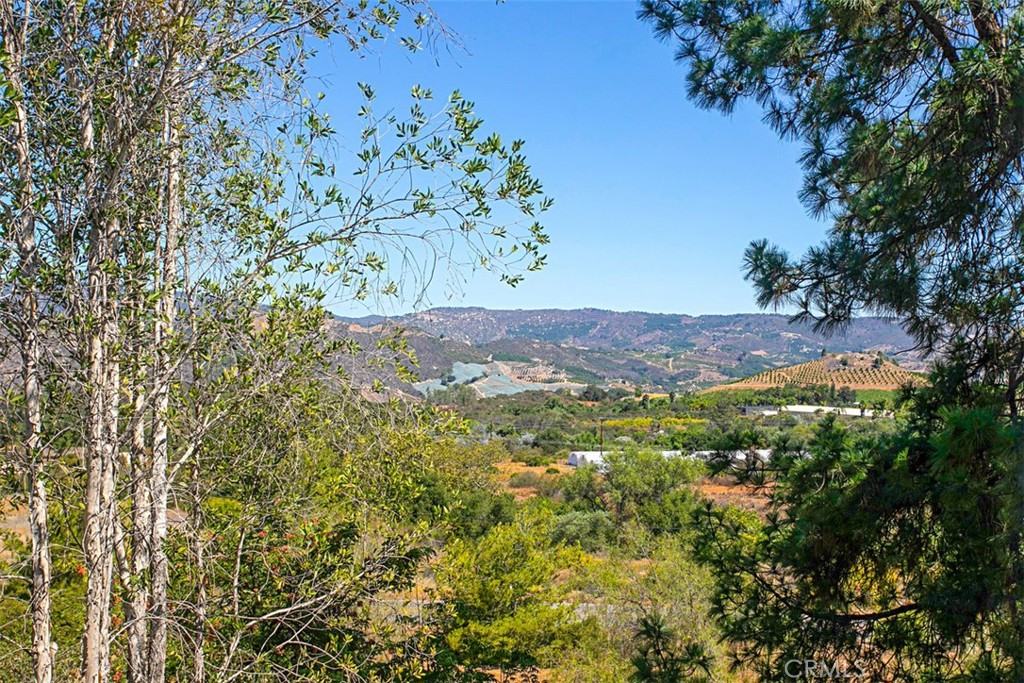 40791 Daily Road Fallbrook, CA 92028 - Photo 24 of 41
