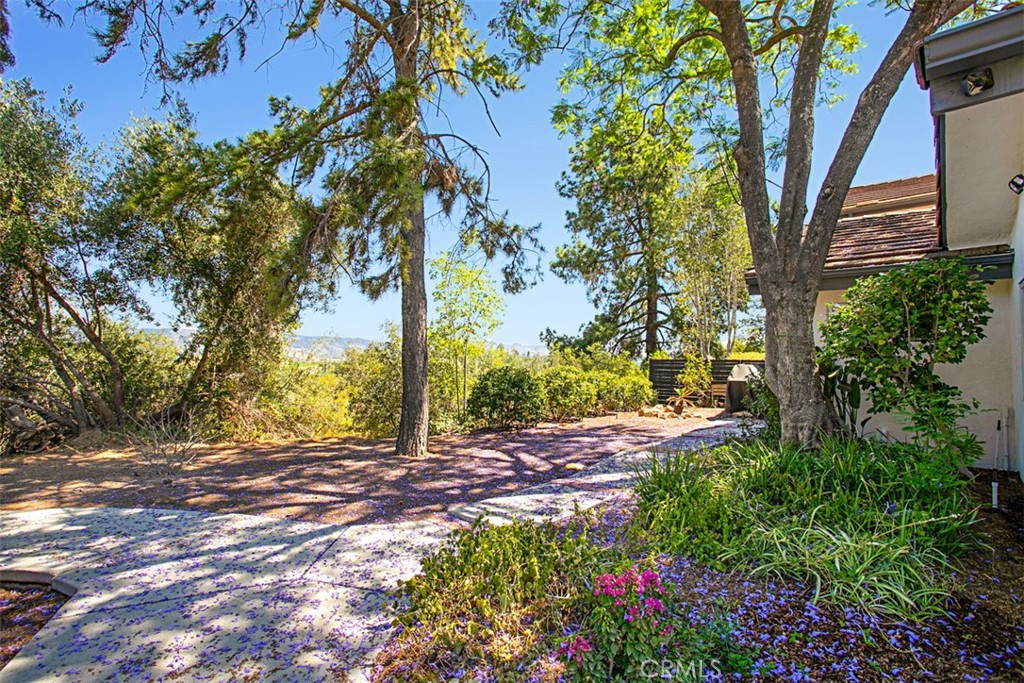 40791 Daily Road Fallbrook, CA 92028 - Photo 27 of 41 a view of a yard with plants and trees