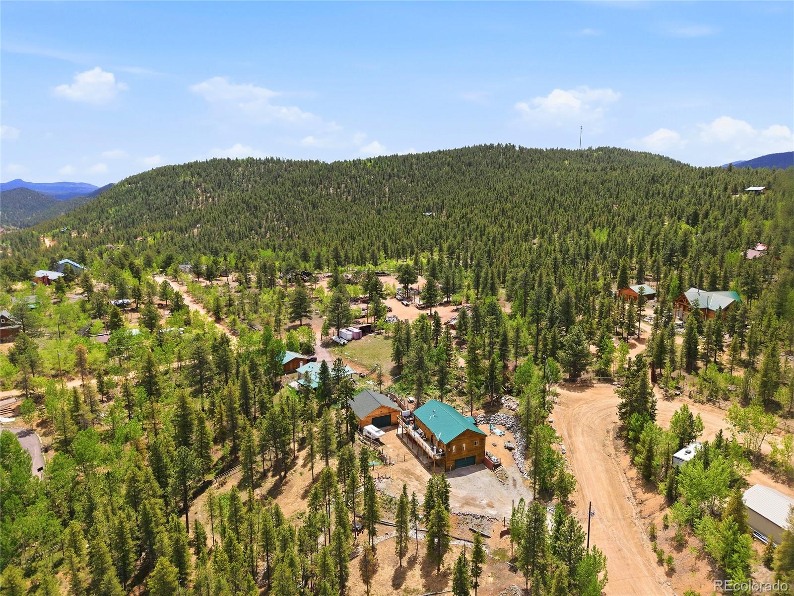 705 Gold Flake Terrace Bailey, CO 80421 - Photo 43 of 48
