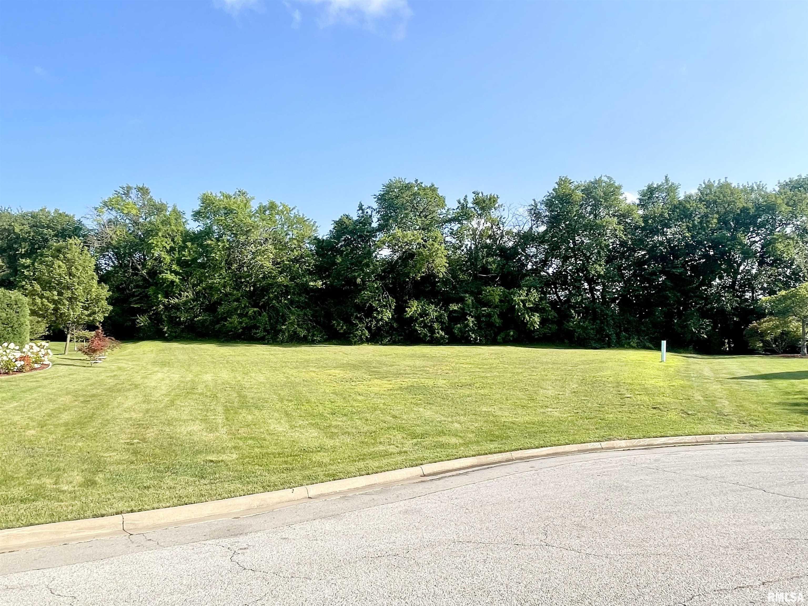 2203 West Augusta Drive Dunlap, IL 61525 - Photo 4 of 8