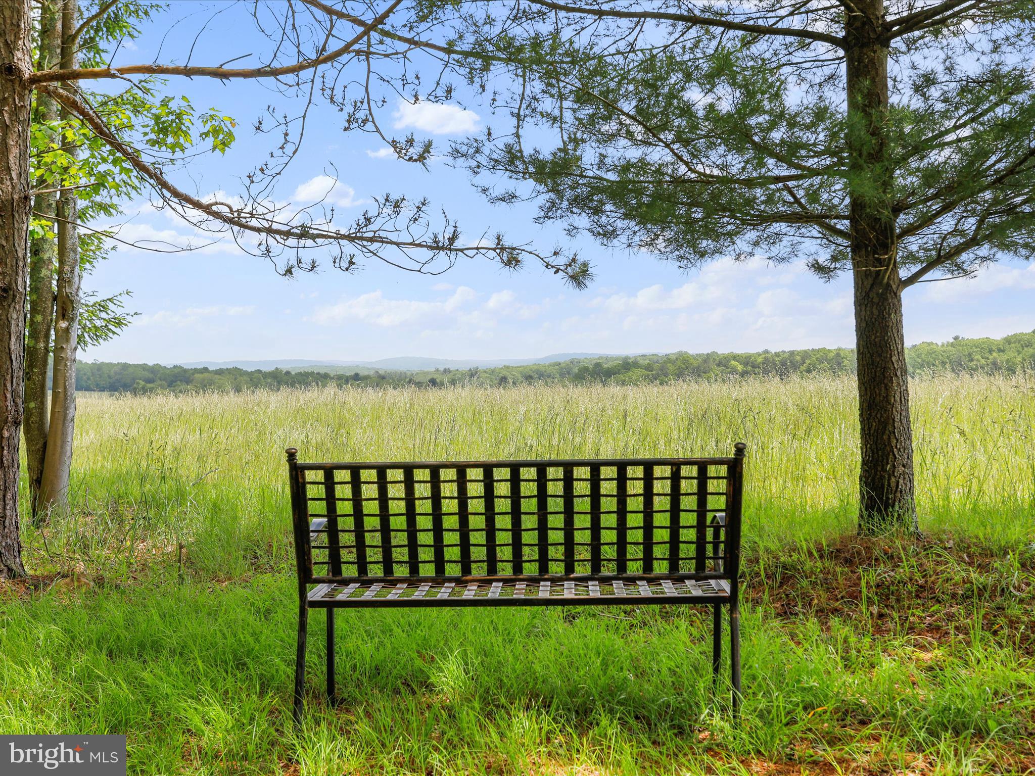 1240 Boy Scout Road Oakland, MD 21550 - Photo 107 of 148 a view of a garden with a lake