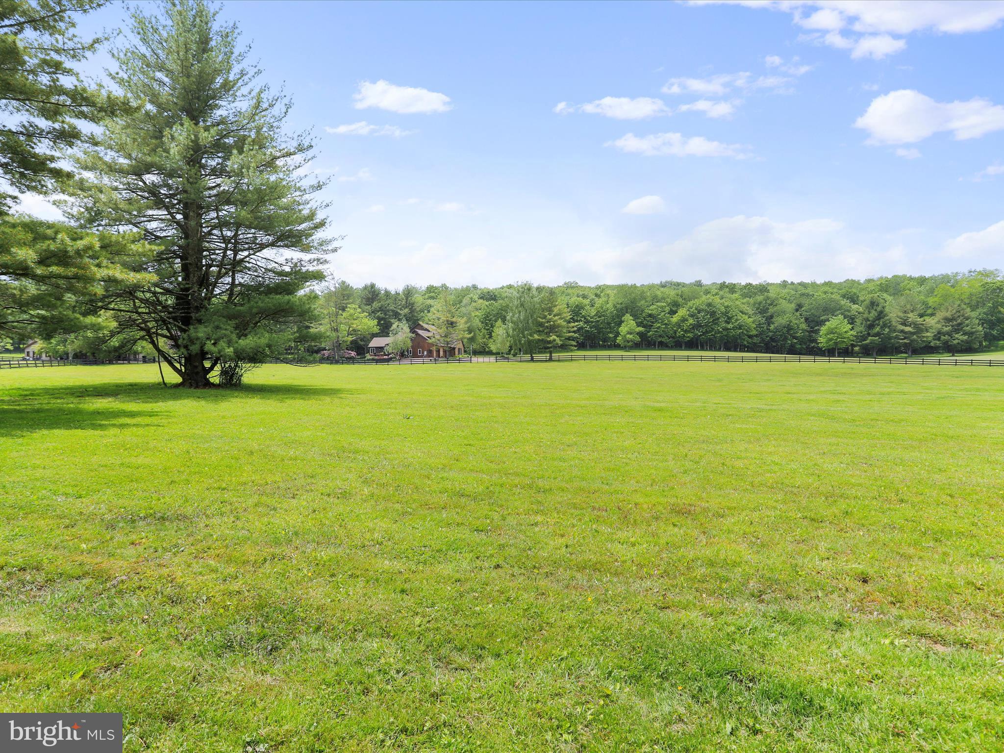 1240 Boy Scout Road Oakland, MD 21550 - Photo 110 of 148 Sprawling Pasture