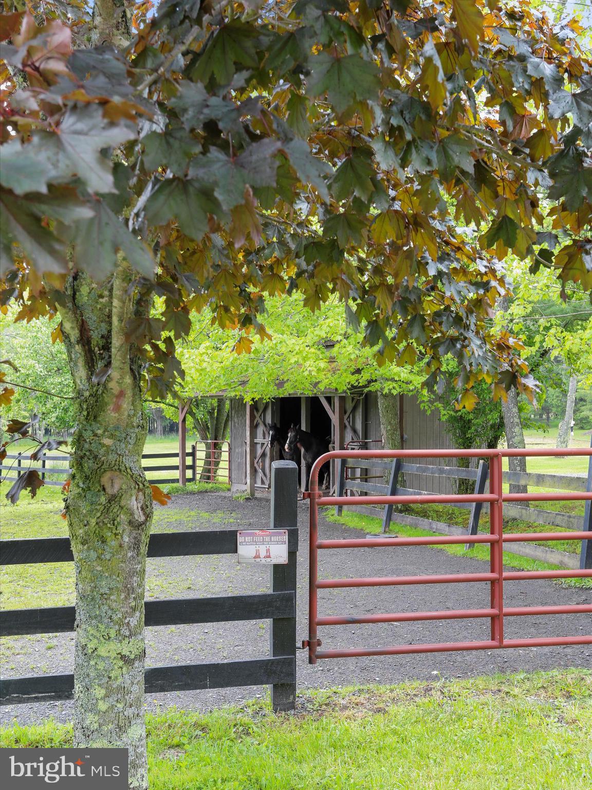 1240 Boy Scout Road Oakland, MD 21550 - Photo 117 of 148 Horse Barn