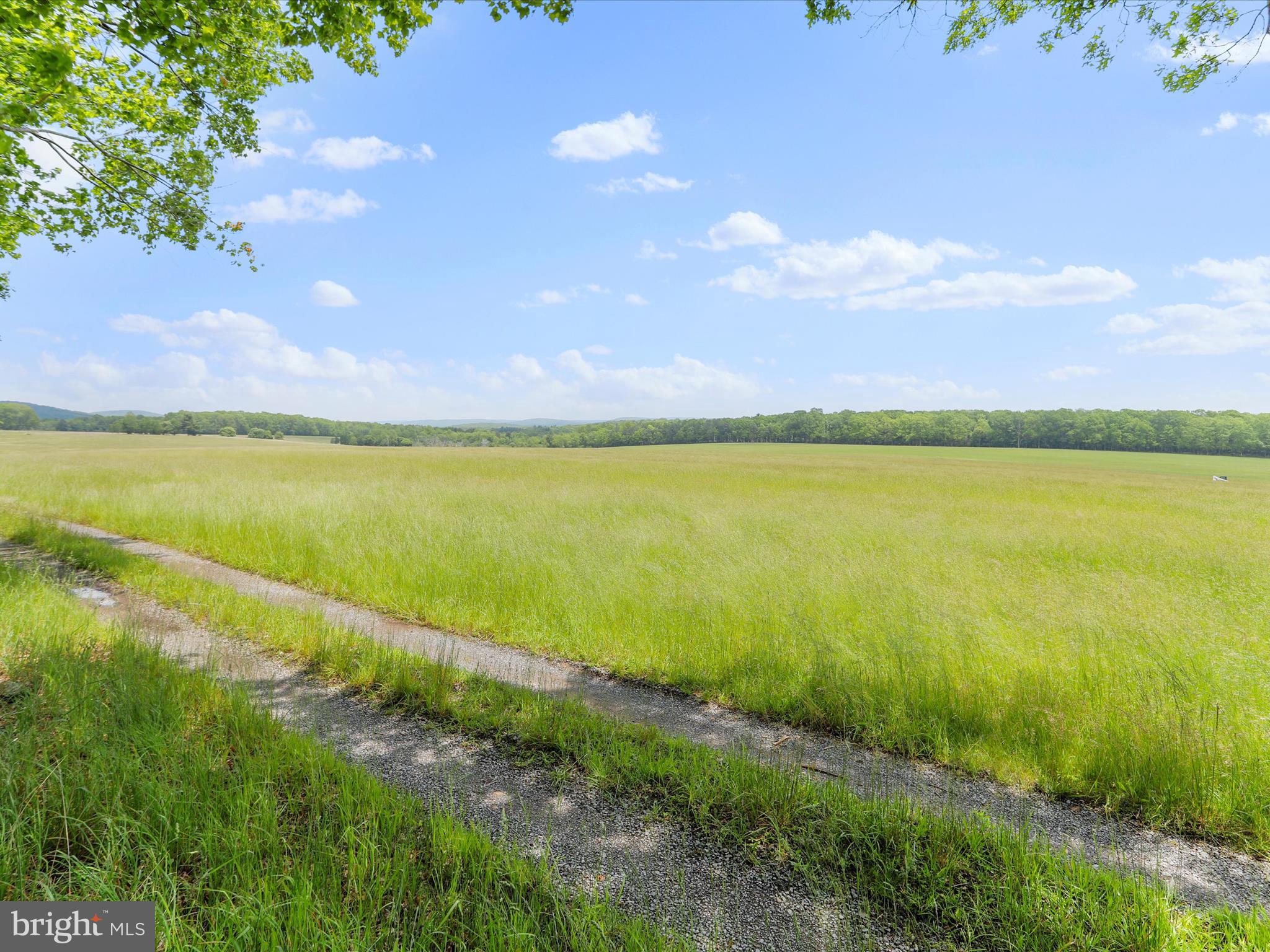 1240 Boy Scout Road Oakland, MD 21550 - Photo 121 of 148 a view of an ocean and beach