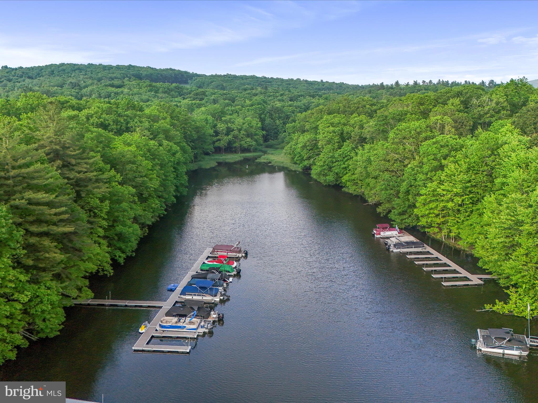 1240 Boy Scout Road Oakland, MD 21550 - Photo 123 of 148 Aerial View of Boat Dock