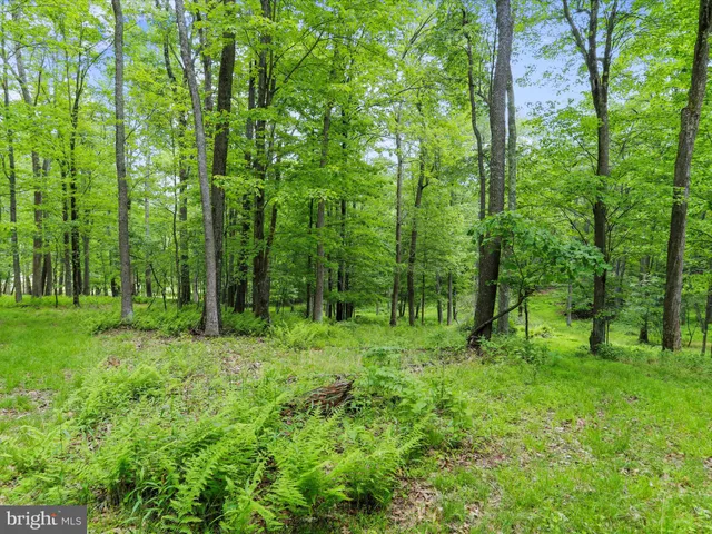 $4,250,000 | 1240 Boy Scout Road, Oakland, MD 21550