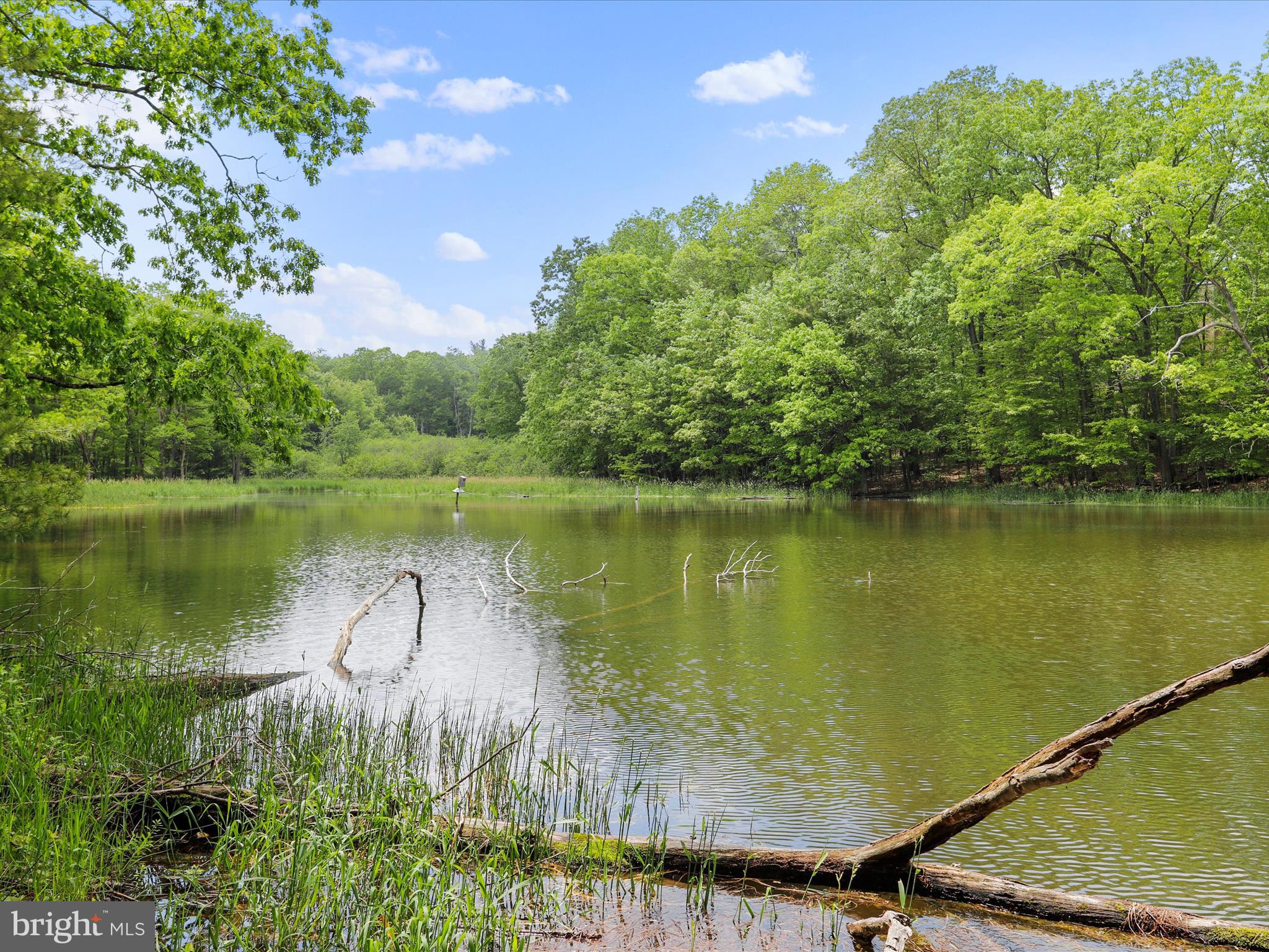 1240 Boy Scout Road Oakland, MD 21550 - Photo 129 of 148 Private Pond