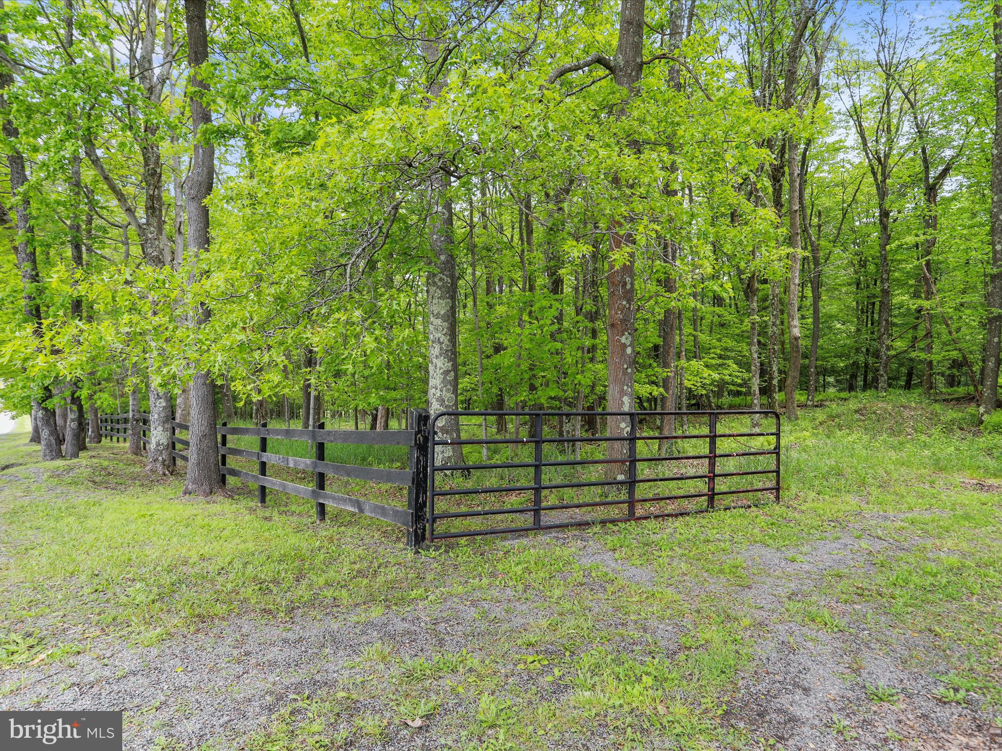 1240 Boy Scout Road Oakland, MD 21550 - Photo 131 of 148 Entrance to the 19 Acre Parcel with Development Po