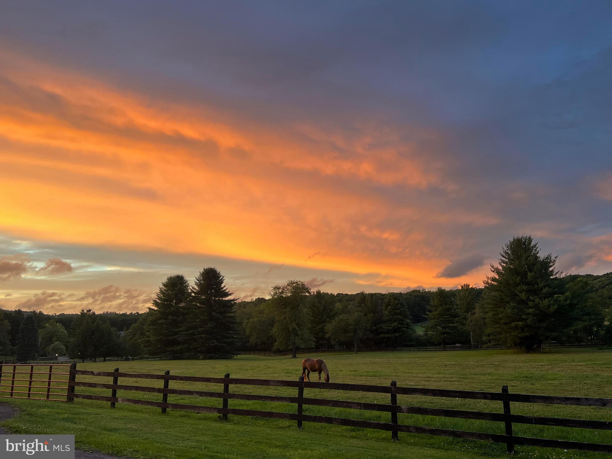 1240 Boy Scout Road Oakland, MD 21550 - Photo 144 of 148