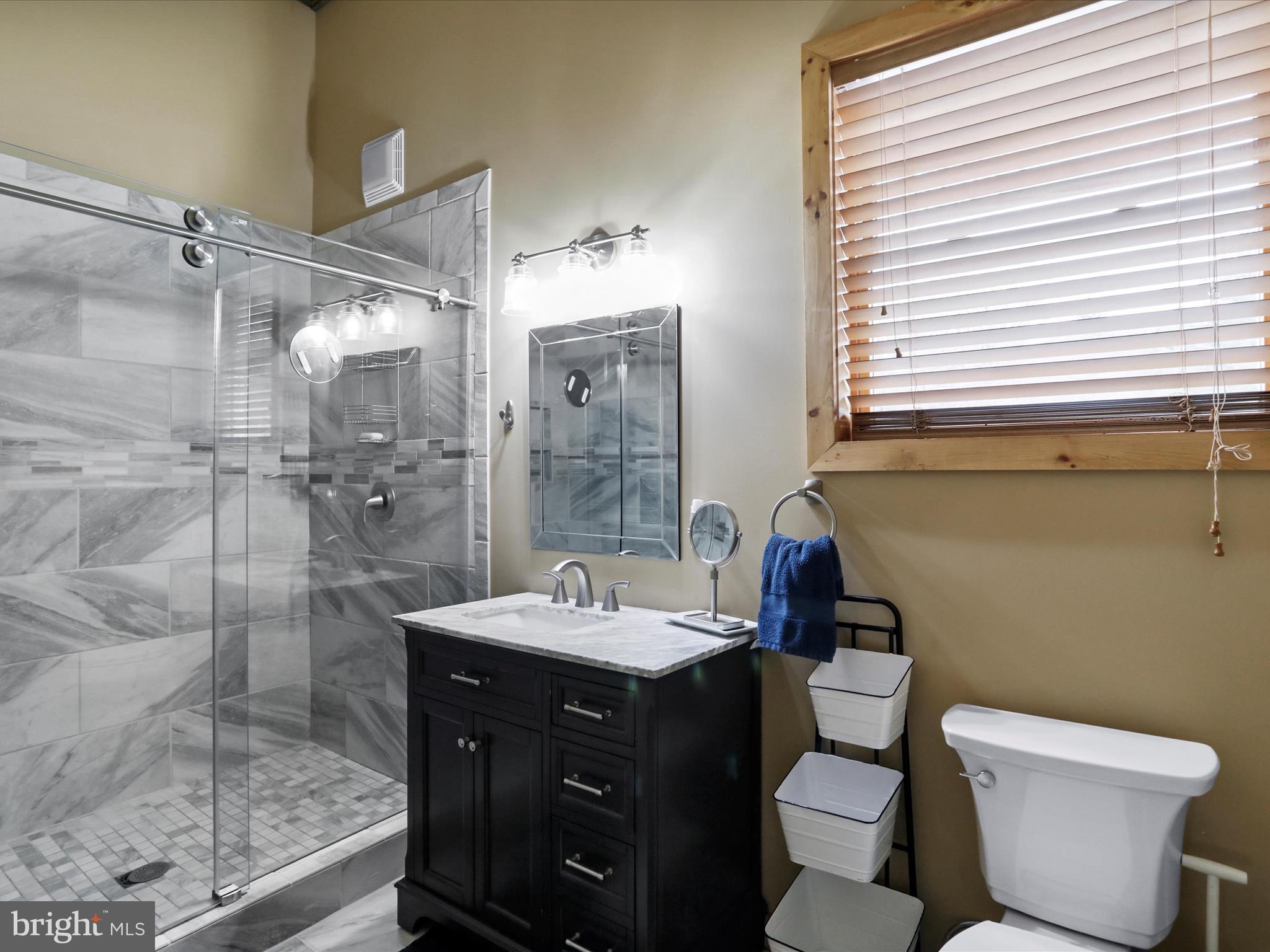 1240 Boy Scout Road Oakland, MD 21550 - Photo 88 of 148 a bathroom with a sink toilet and shower