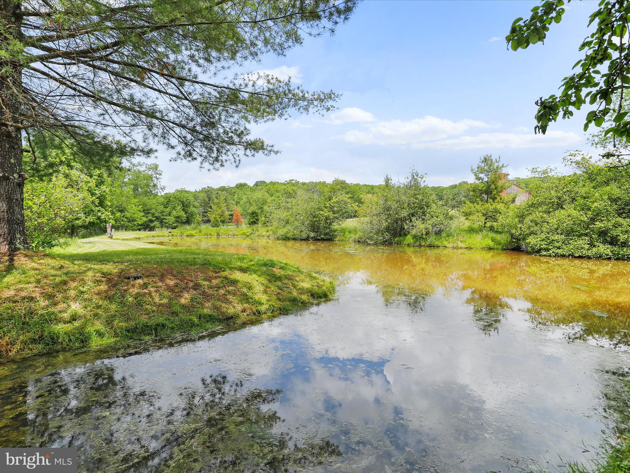 1240 Boy Scout Road Oakland, MD 21550 - Photo 9 of 148 a view of a lake with a big yard