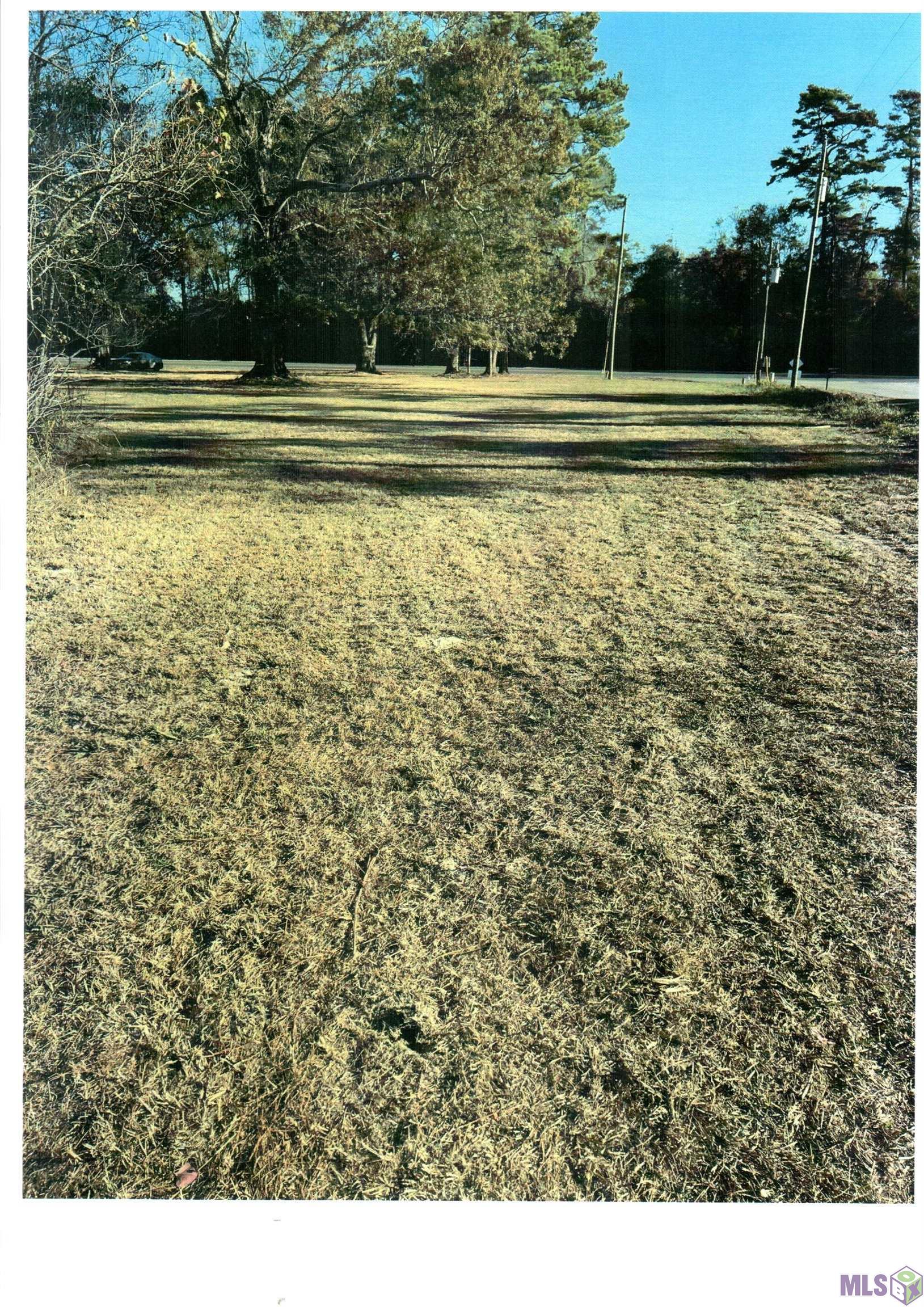 0 4h Club Road Denham Springs, LA 70726 - Photo 10 of 10 Gallery Image 10