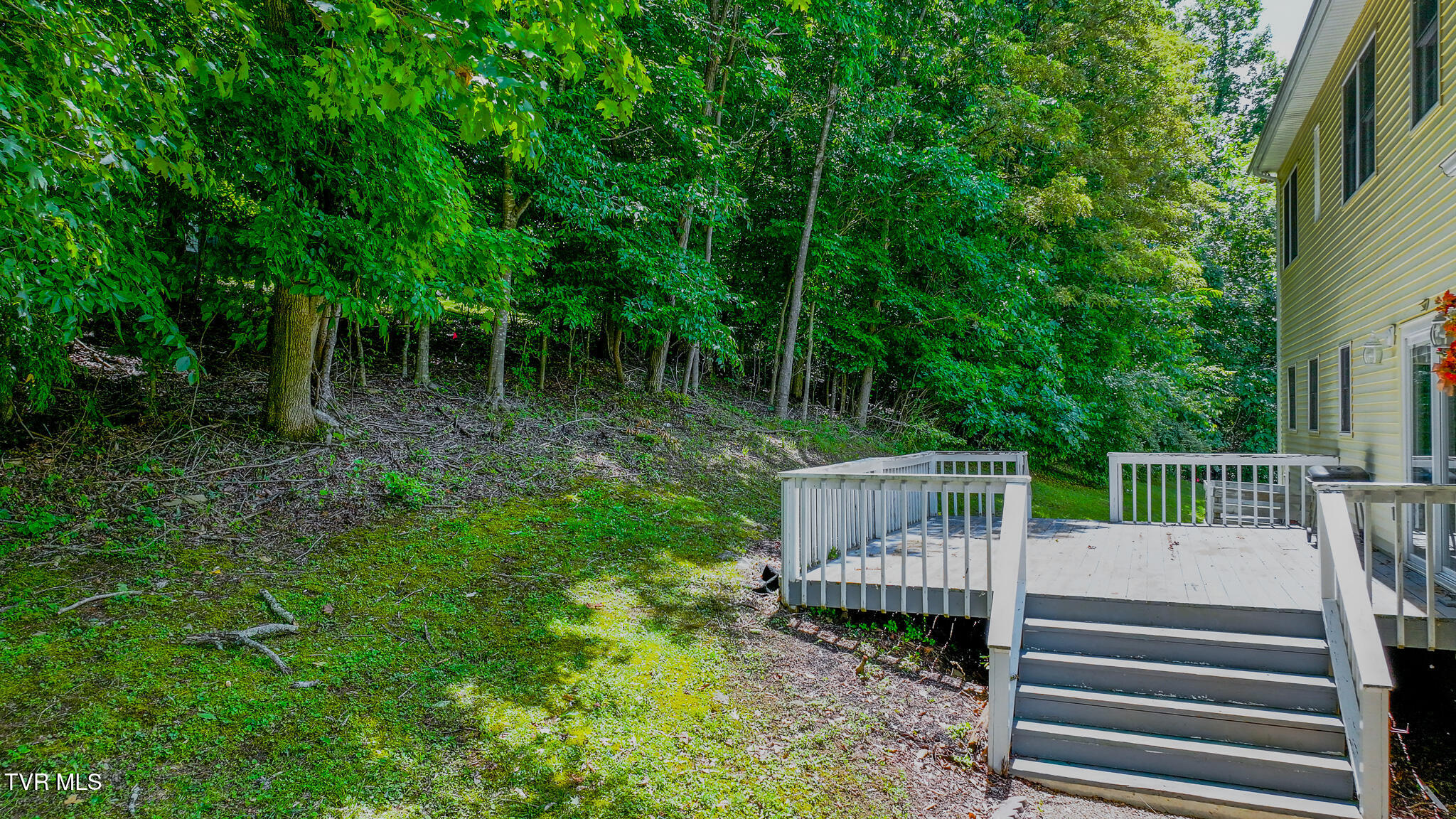 566 Beechwood Road Kingsport, TN 37663 - Photo 37 of 45 dji_fly_20250702_142536_0482_17514812318