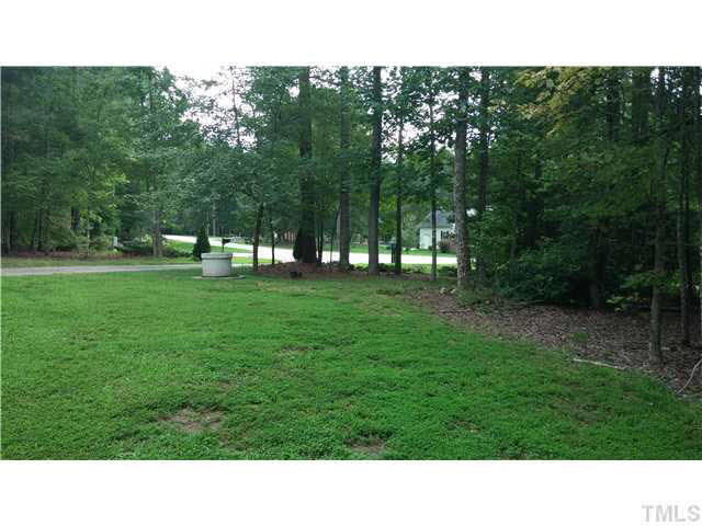 3092 Wren Road Creedmoor, NC 27522 - Photo 22 of 25 Front Yard