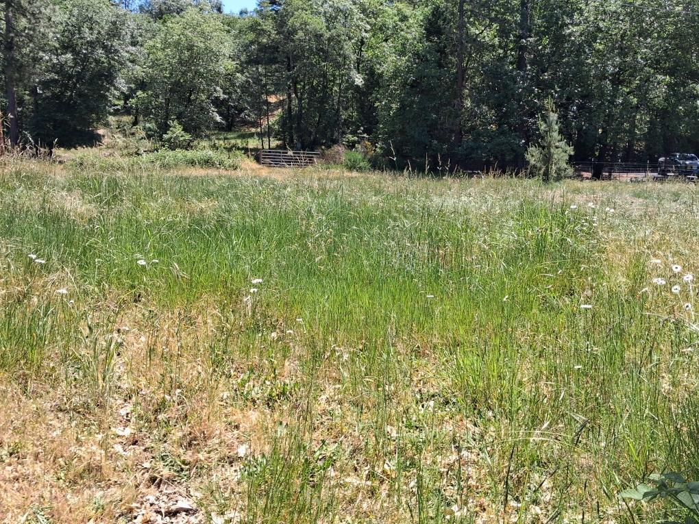 1740 Hugo Road Merlin, OR 97532 - Photo 6 of 6