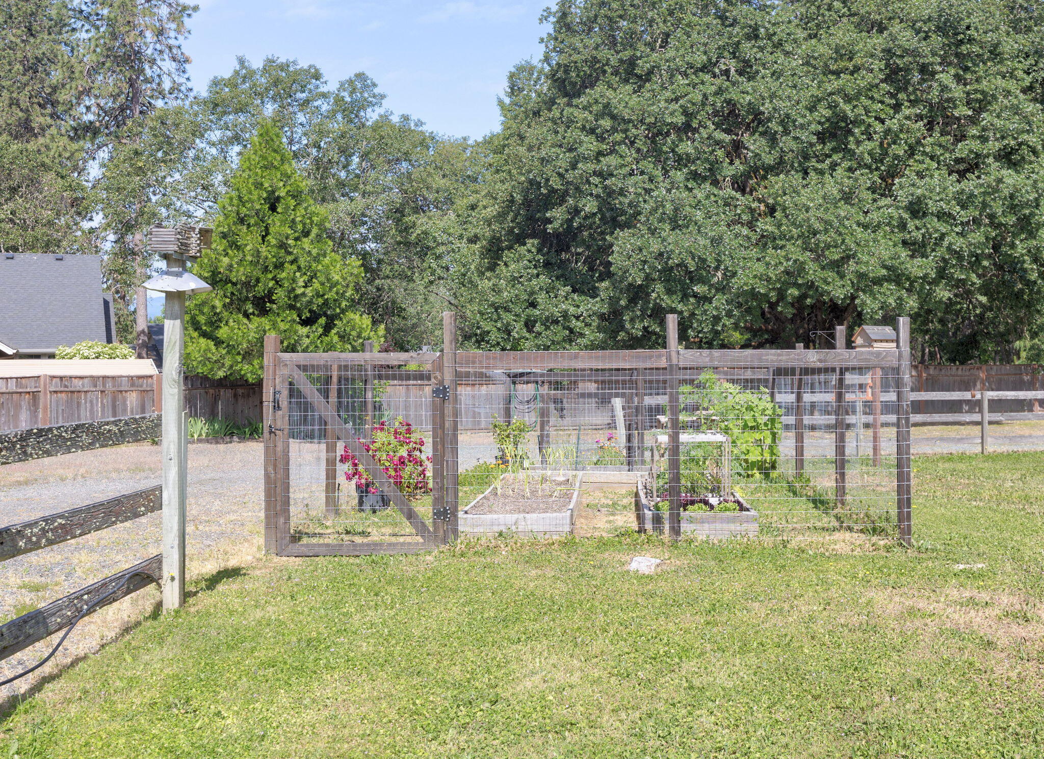 462 Espey Road Grants Pass, OR 97527 - Photo 41 of 41 Garden