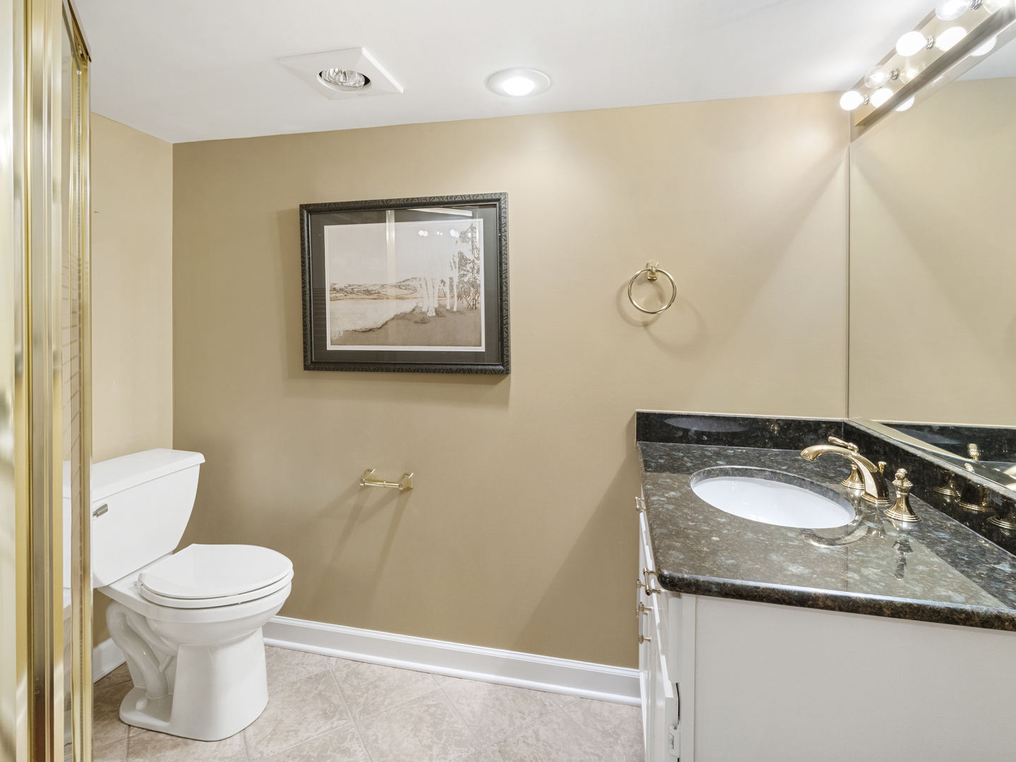 6437 Greene Road Woodridge, IL 60517 - Photo 47 of 65 Gallery Image 47