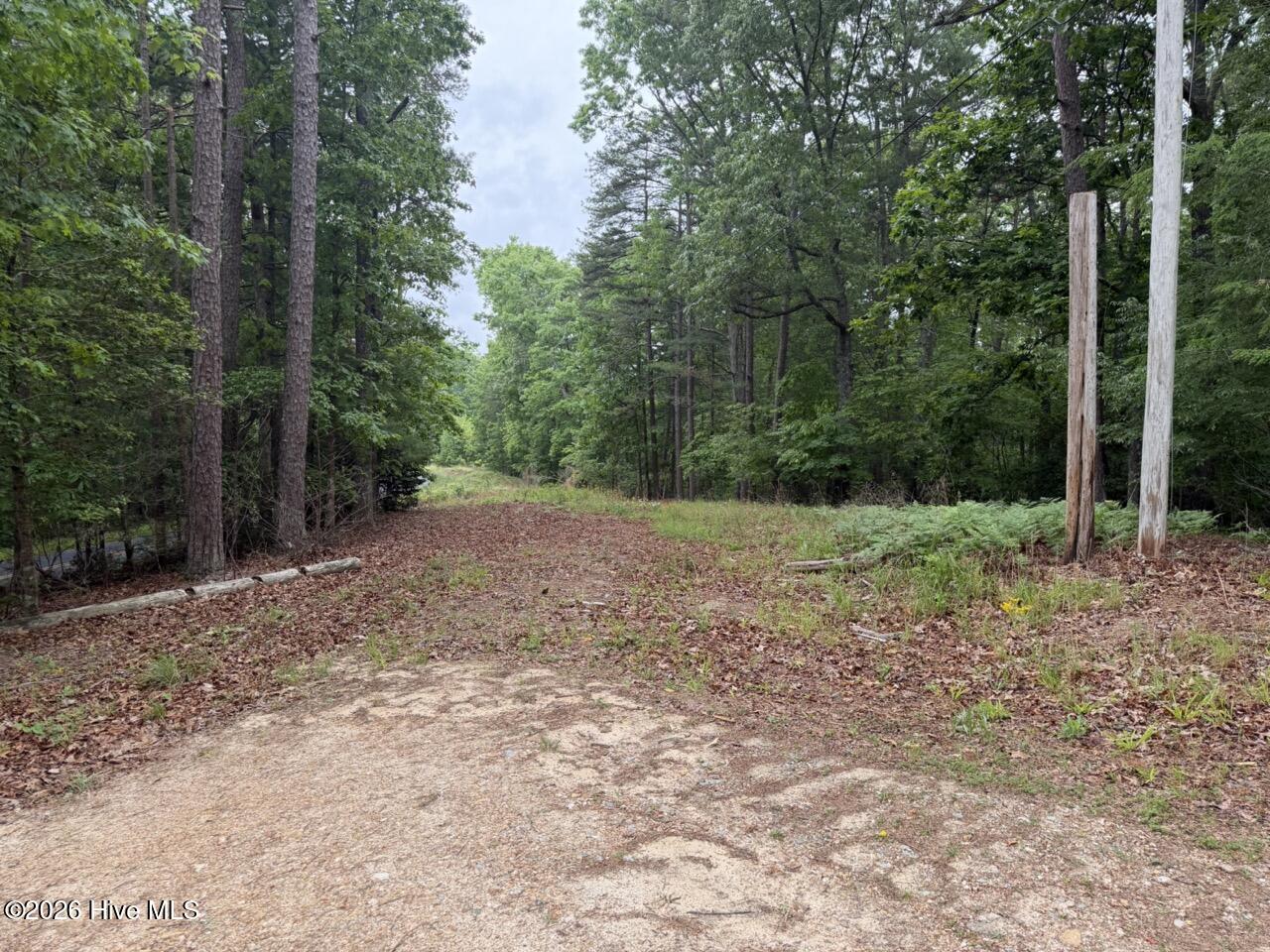 274 Snow Hill Ridge Road Murphy, NC 28906 - Photo 19 of 30