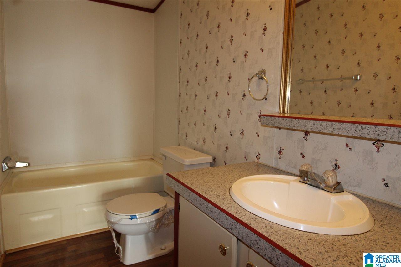 375 Wet Cat Road Hayden, AL 35079 - Photo 14 of 21