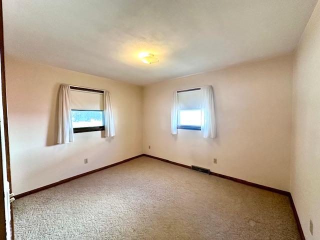 207 North Pine Street Caledonia, MN 55921 - Photo 19 of 31