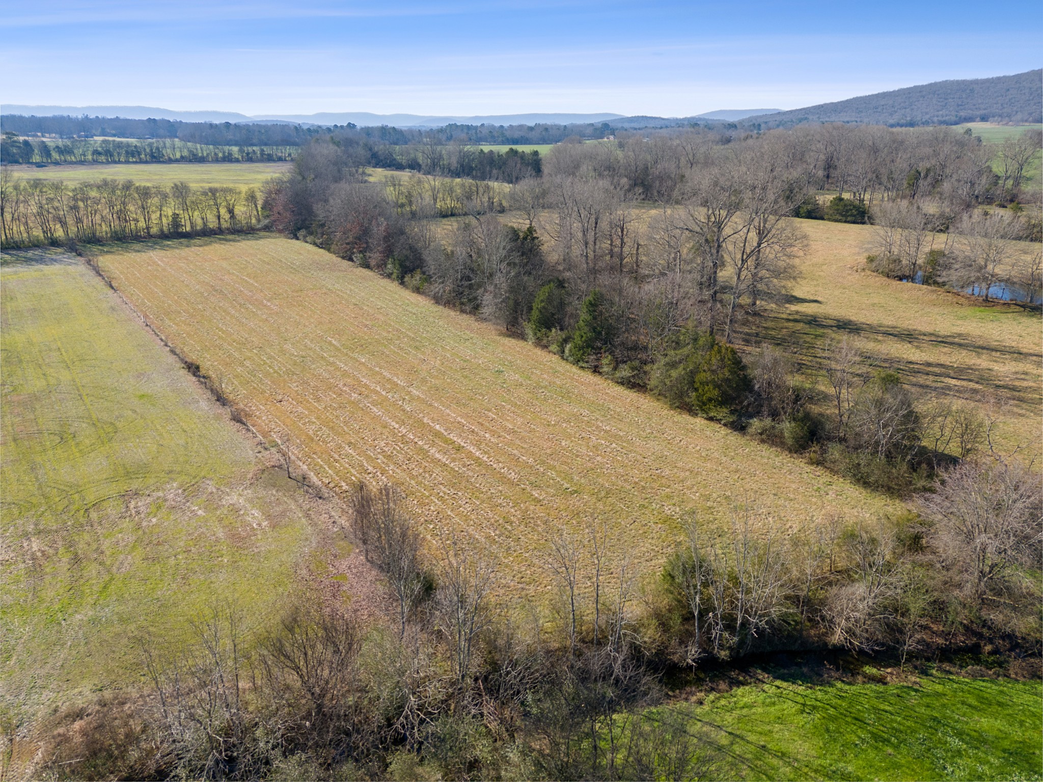 336 Martin-Childers Road New Hope, AL 35760 - Photo 25 of 28 a view of a dry yard with wooden fence