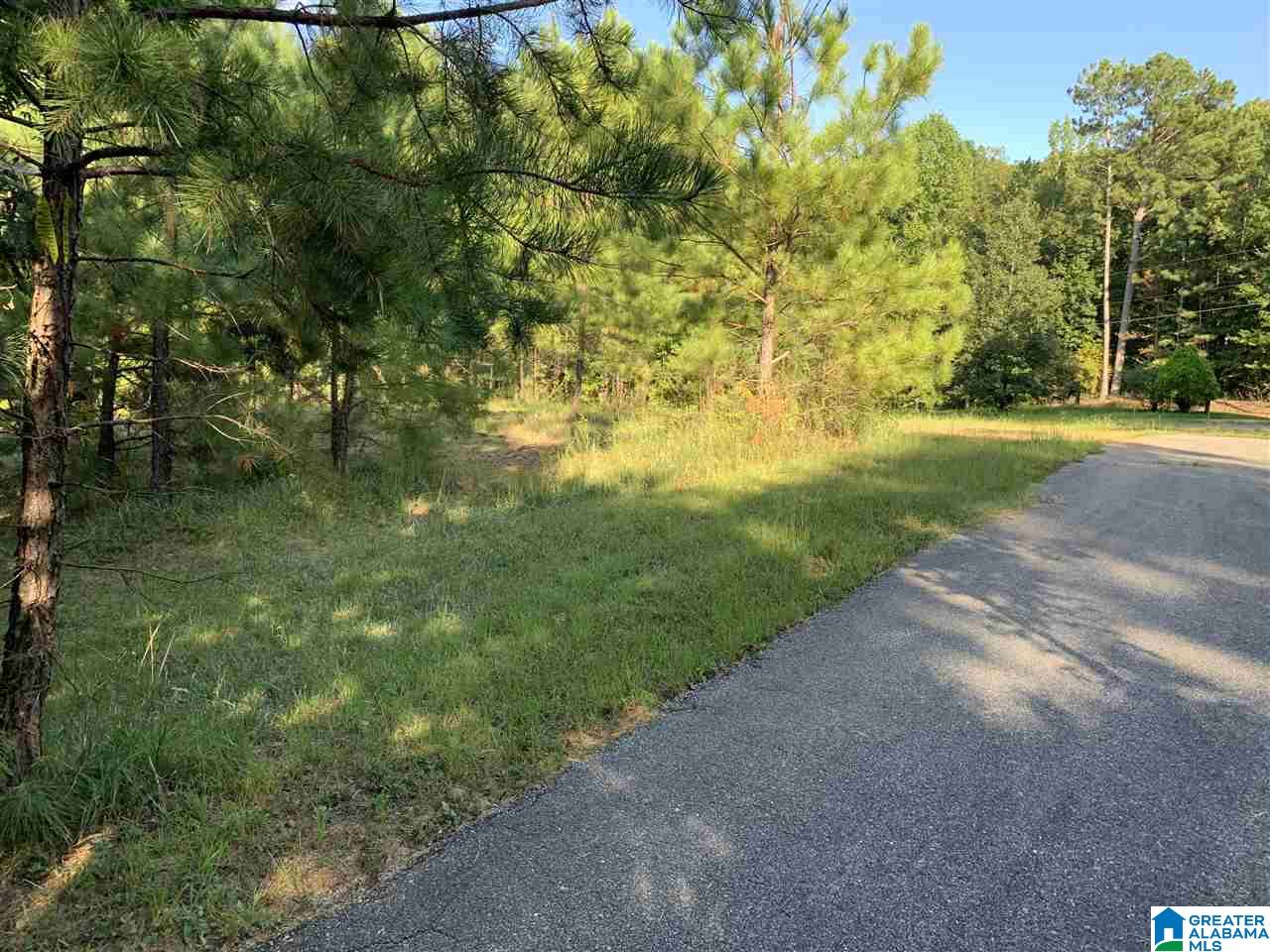 367 Cash Street Ohatchee, AL 36271 - Photo 31 of 37
