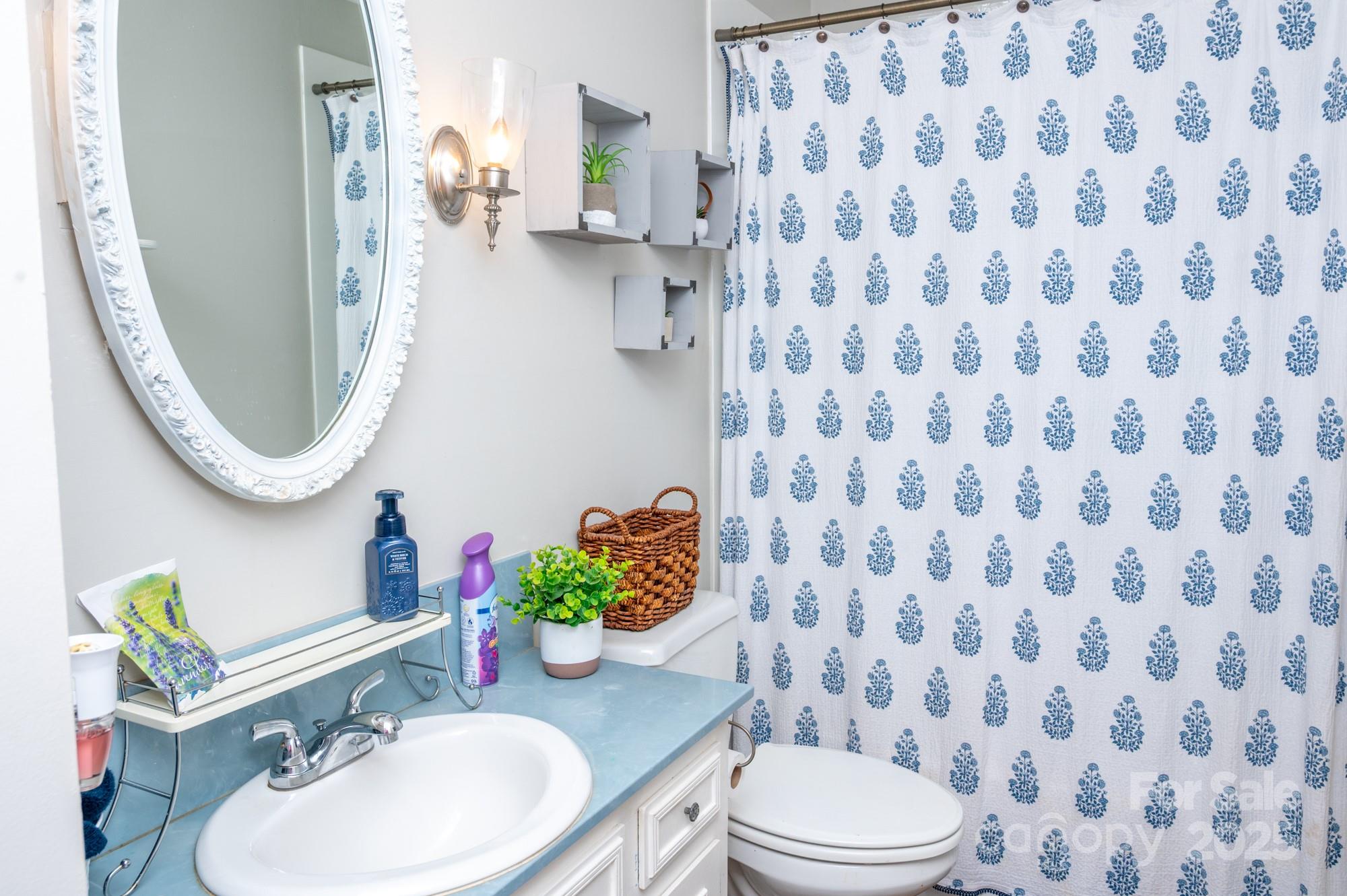 109 Old Rockwell Road China Grove, NC 28023 - Photo 12 of 22 a bathroom with a toilet sink vanity mirror and shower curtain