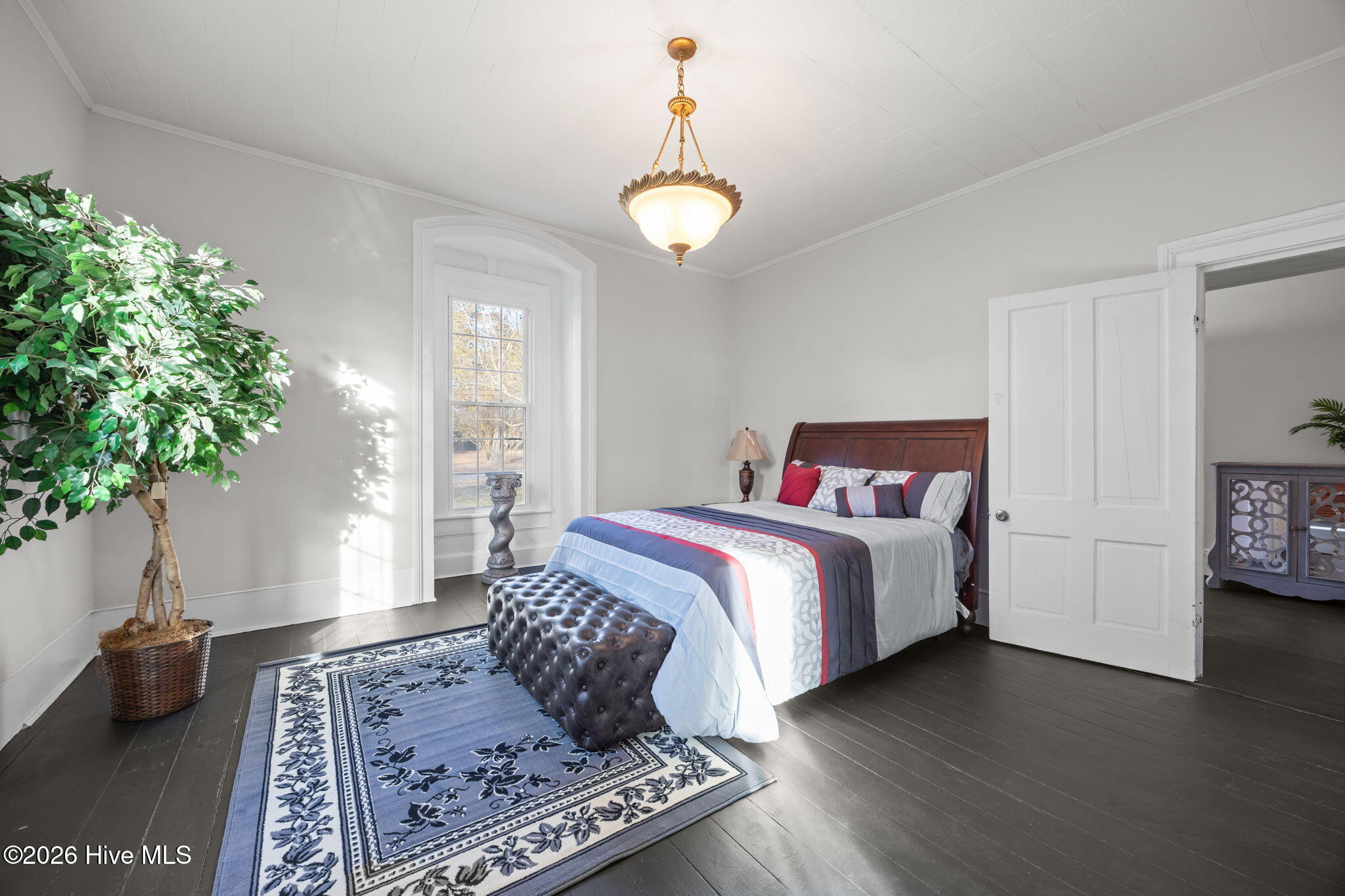 809 Church Street Scotland Neck, NC 27874 - Photo 28 of 55 28-web-or-mls-IMG_4159