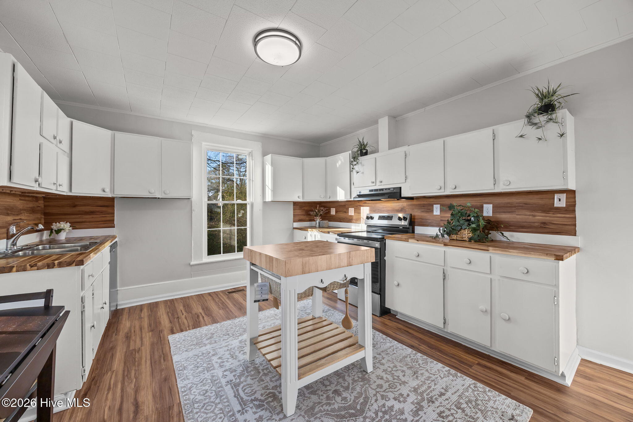 809 Church Street Scotland Neck, NC 27874 - Photo 41 of 55 41-web-or-mls-IMG_4213