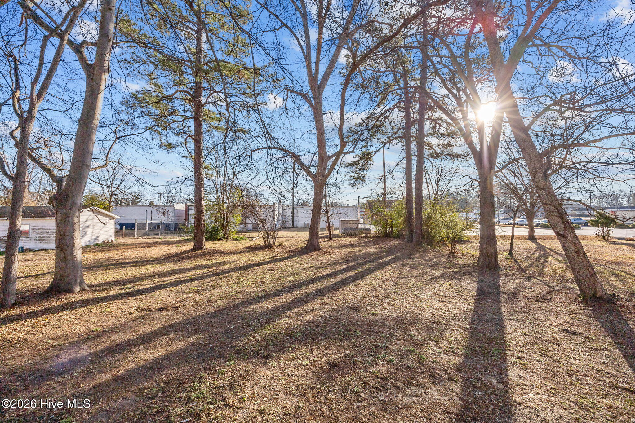 809 Church Street Scotland Neck, NC 27874 - Photo 55 of 55 55-web-or-mls-IMG_4275