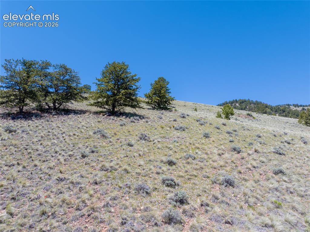 102 Rd Guffey Co 80820 Road Guffey, CO 80820 - Photo 10 of 25
