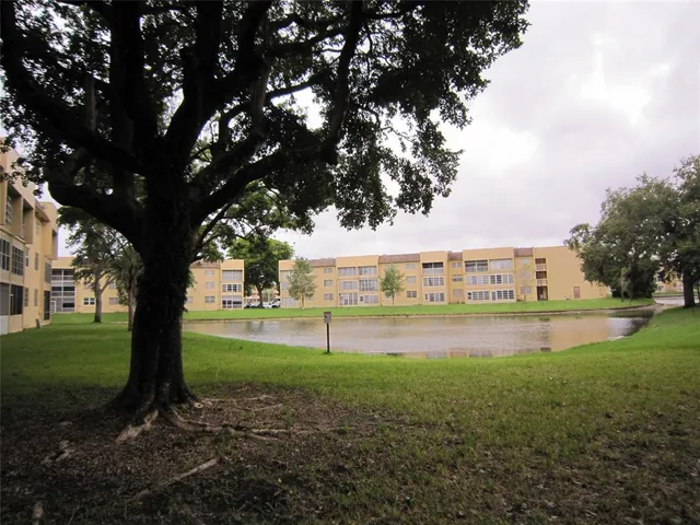 a view of a big yard with palm trees