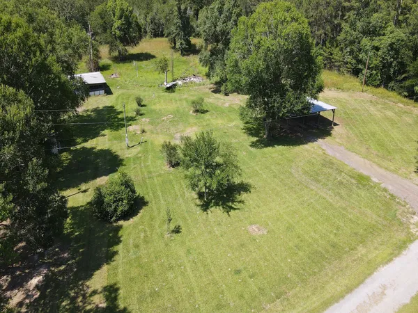 a view of park with trees