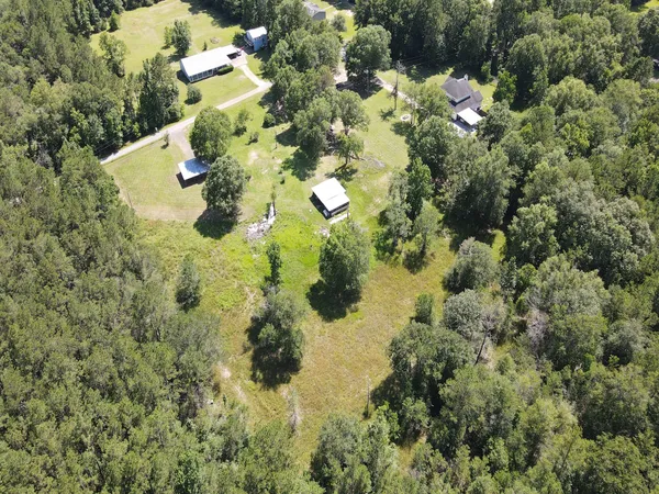 a view of a flower in a garden